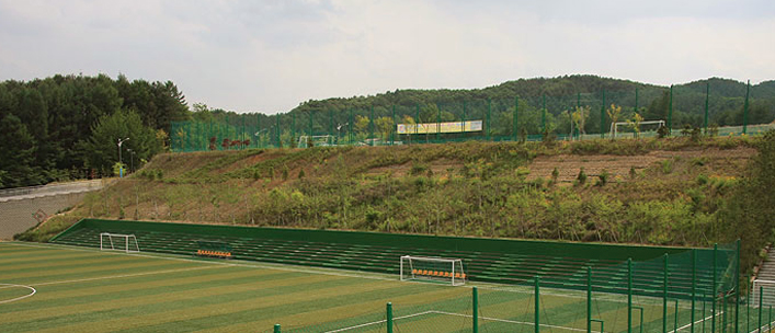 축구전용구장 전경 큰사진