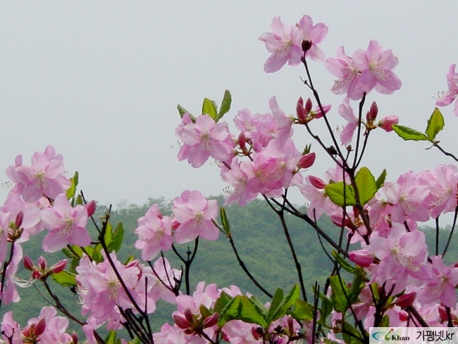  연인산