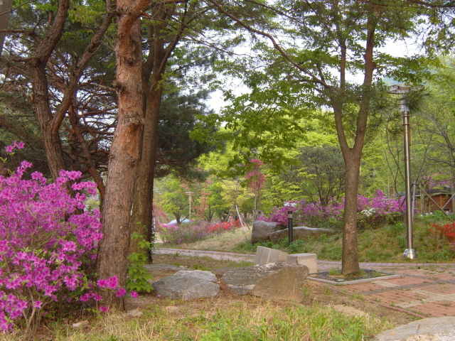  산장의 봄풍경입니다. 이미지