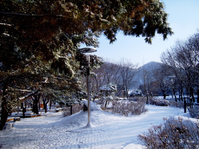 산장관광지 겨울 사진입니다.